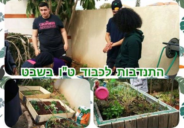התנדבות במרכז יום לקשיש